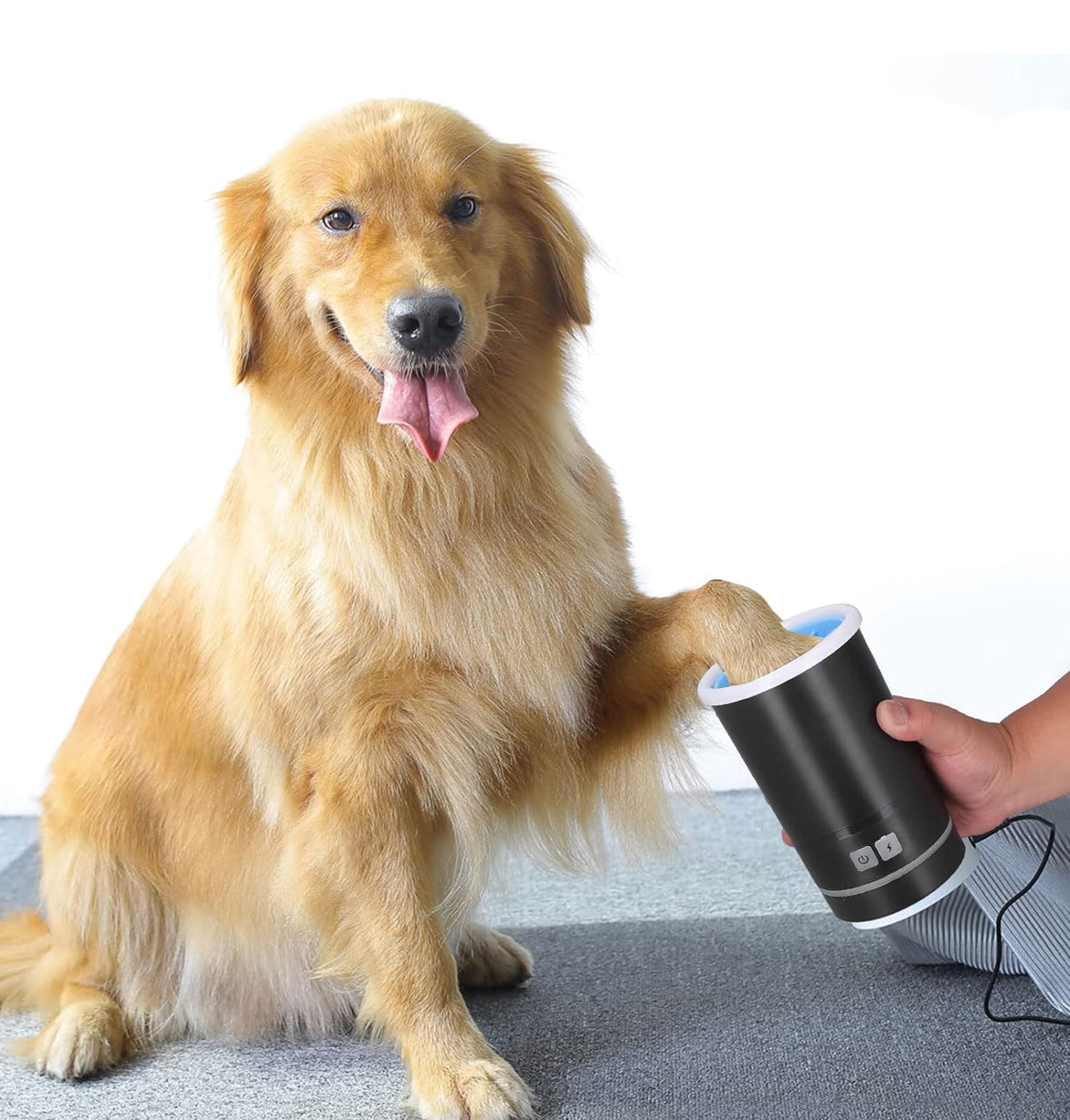 PawCare™